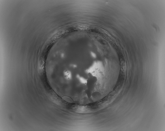 X0000114590507200911091259