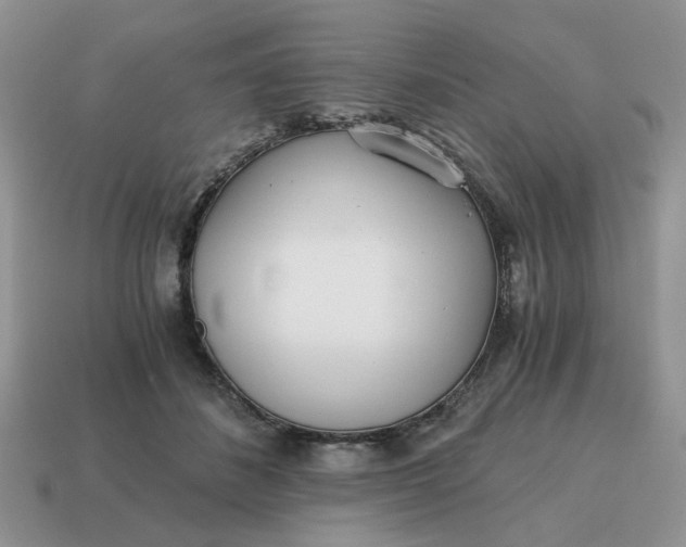 X0000114590508200911091259