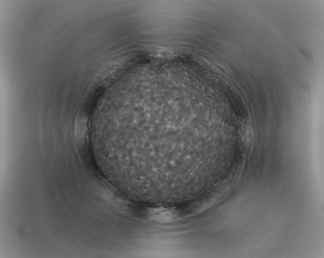 X0000114590511200911091259