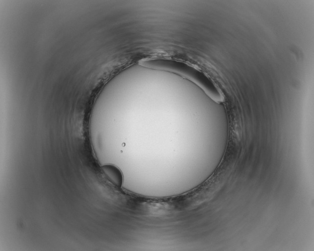 X0000114590512200911091259