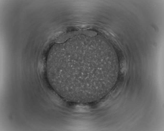 X0000114590515200911091259