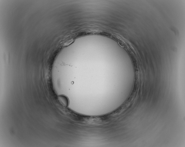 X0000114590517200911091259