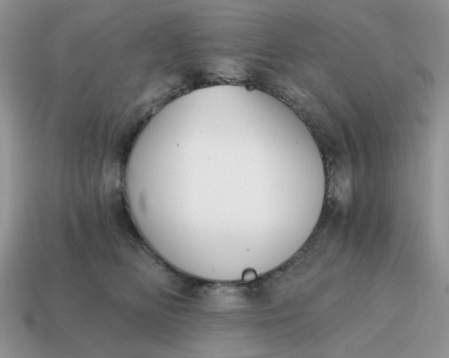 X0000114590518200911091259