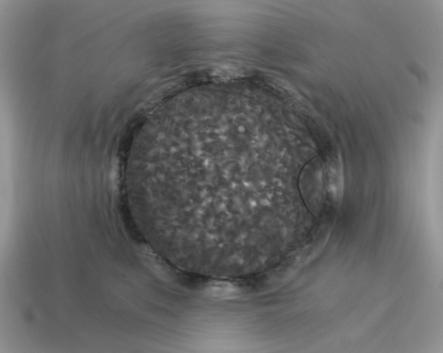 X0000114590519200911091259