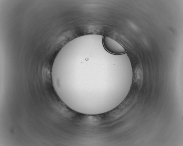 X0000114590522200911091259