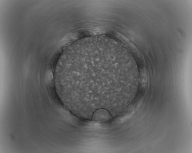 X0000114590523200911091259