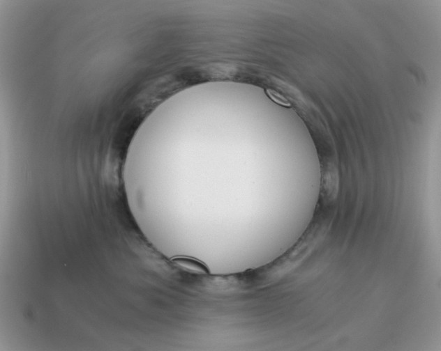 X0000114590525200911091259