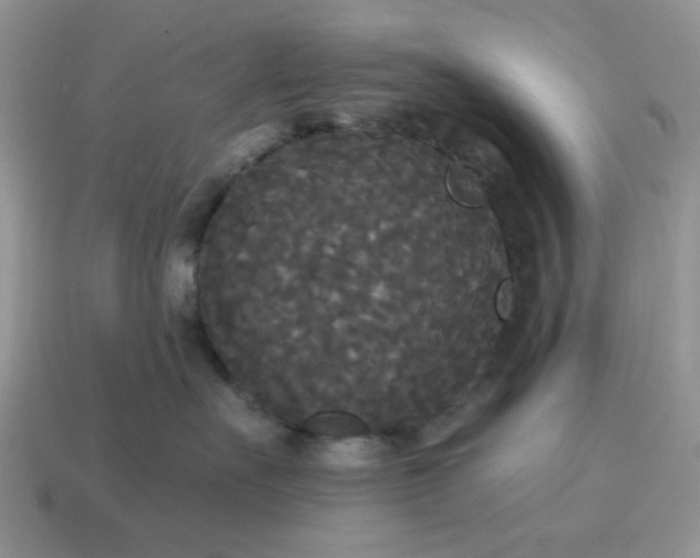 X0000114590527200911091259