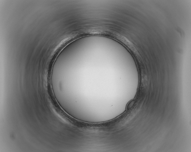 X0000114590530200911091258