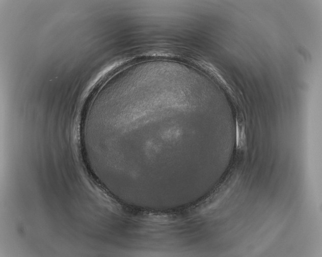 X0000114590531200911091258