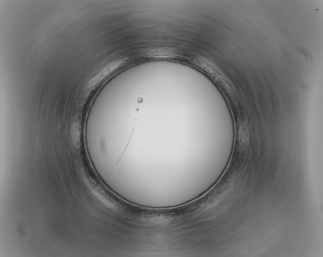 X0000114590533200911091258