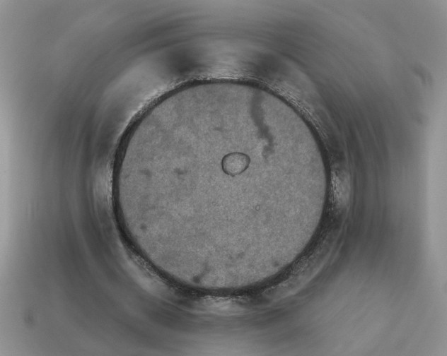 X0000114590534200911091258