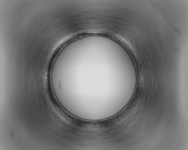 X0000114590535200911091258