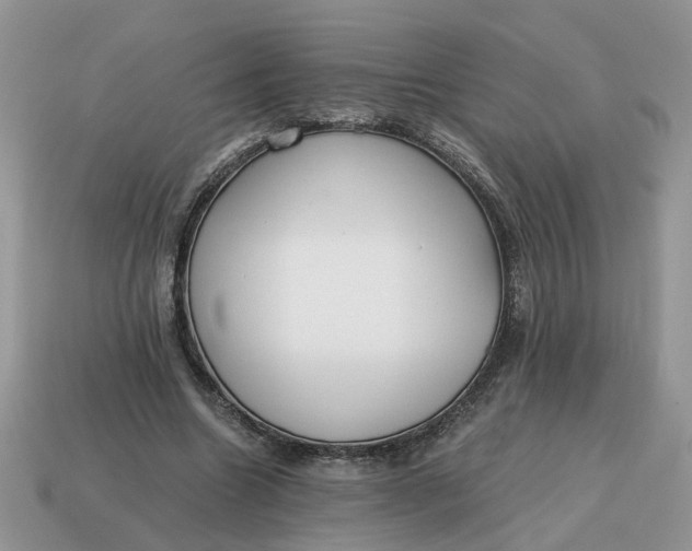 X0000114590538200911091258