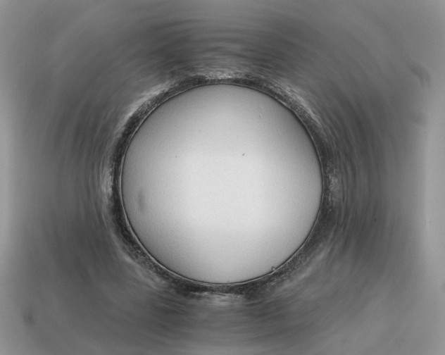 X0000114590539200911091258