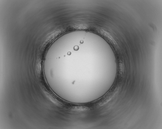 X0000114590541200911091258