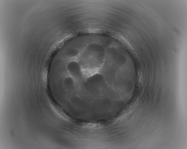 X0000114590542200911091258