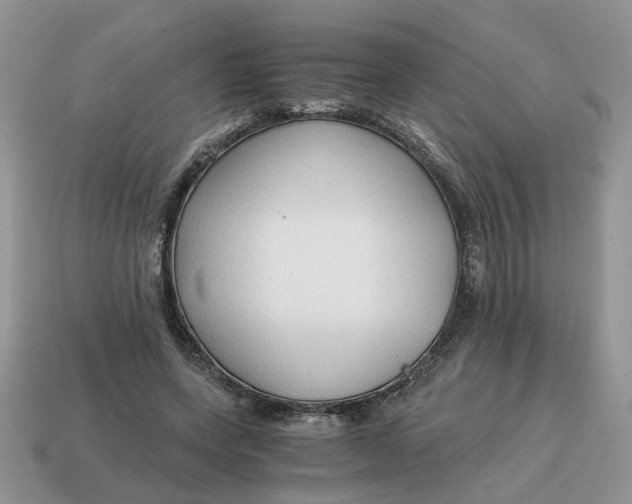 X0000114590543200911091258