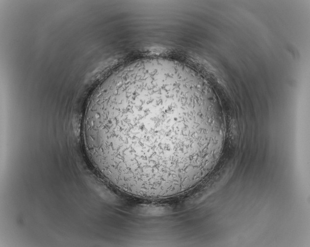 X0000114590545200911091258