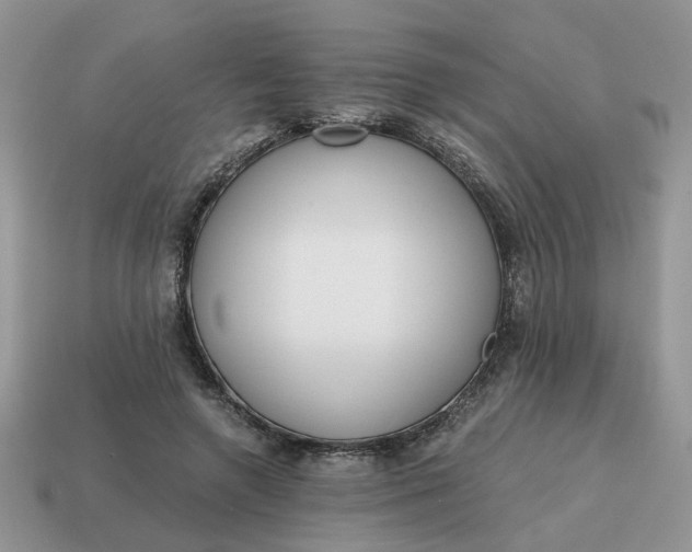 X0000114590546200911091258