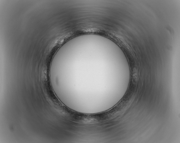 X0000114590547200911091258