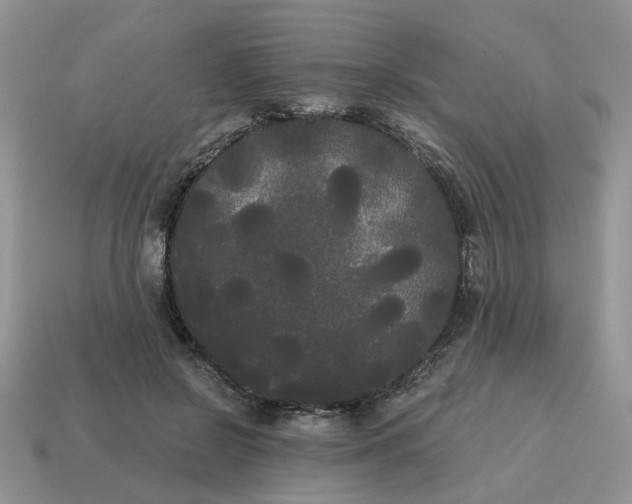 X0000114590550200911091259