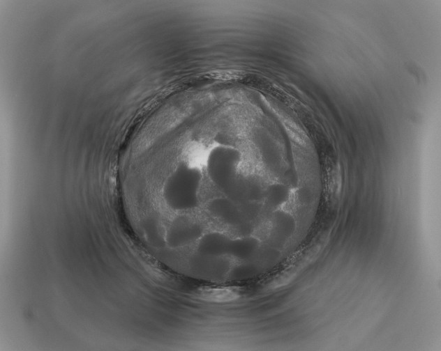 X0000114590553200911091259