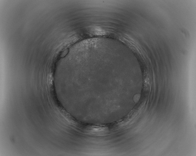 X0000114590555200911091259