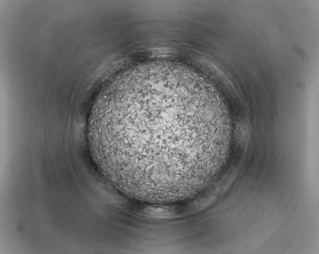 X0000114590557200911091259