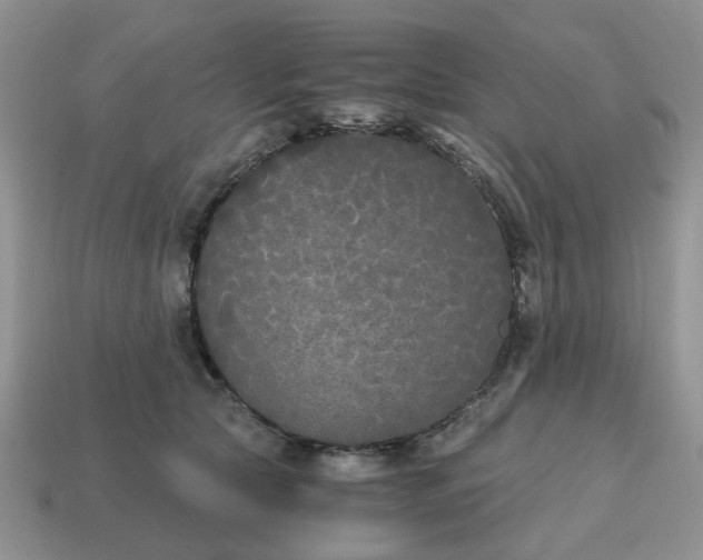 X0000114590561200911091259