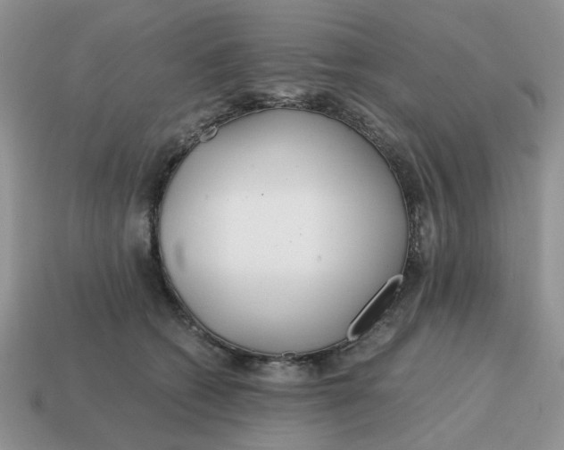 X0000114590562200911091259