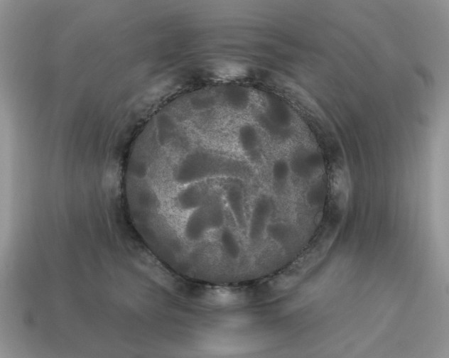 X0000114590565200911091259