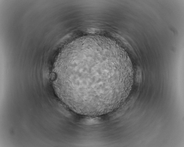 X0000114590569200911091259