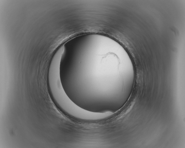 X0000114590577200911091258