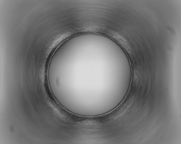 X0000114590578200911091258