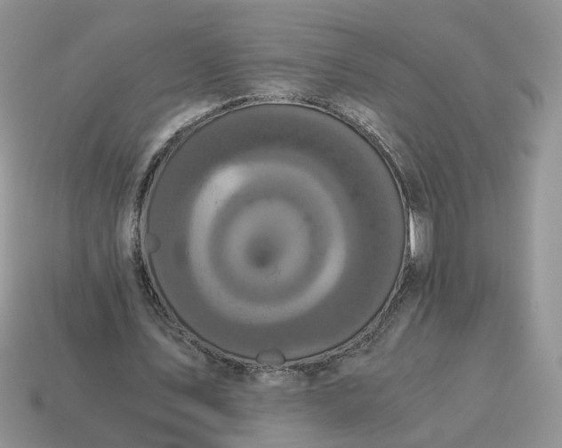 X0000114590579200911091258