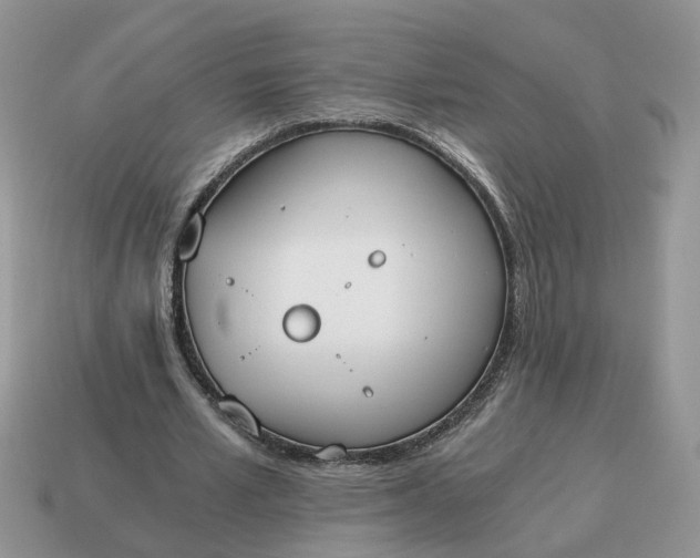 X0000114590581200911091258