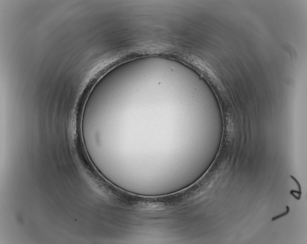 X0000114590582200911091258