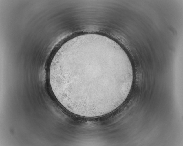 X0000114590584200911091258