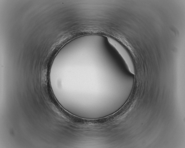 X0000114590585200911091258