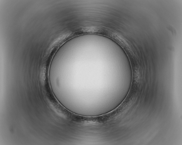 X0000114590586200911091258