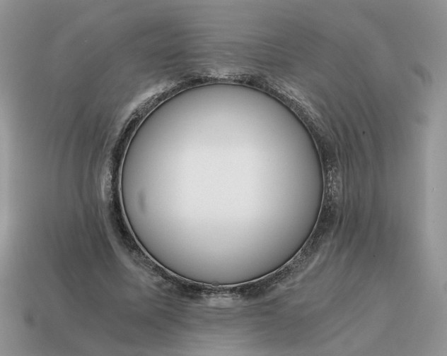 X0000114590587200911091258