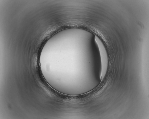 X0000114590589200911091258