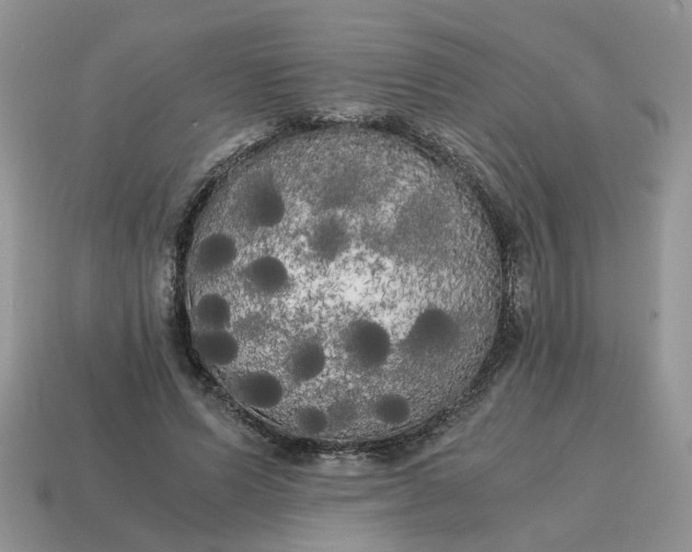 X0000114590591200911091258