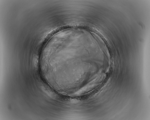 X0000114590592200911091258