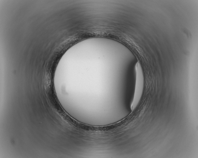 X0000114590593200911091258