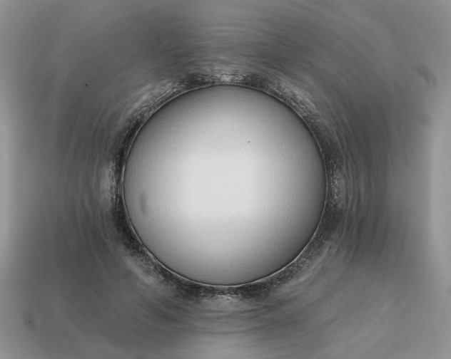 X0000114590594200911091258