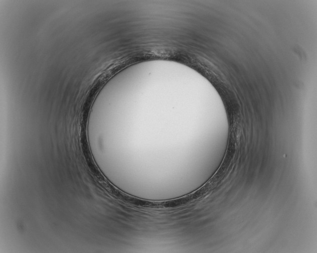 X0000114590595200911091258