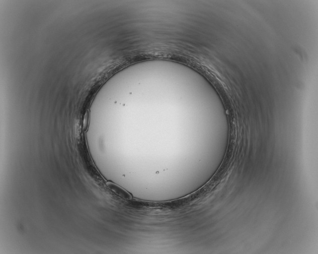 X0000114590597200911091258