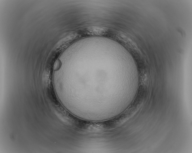 X0000114590599200911091258